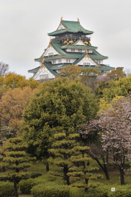 , Весенняя красота Японии: цветение сакуры и удивительные пейзажи